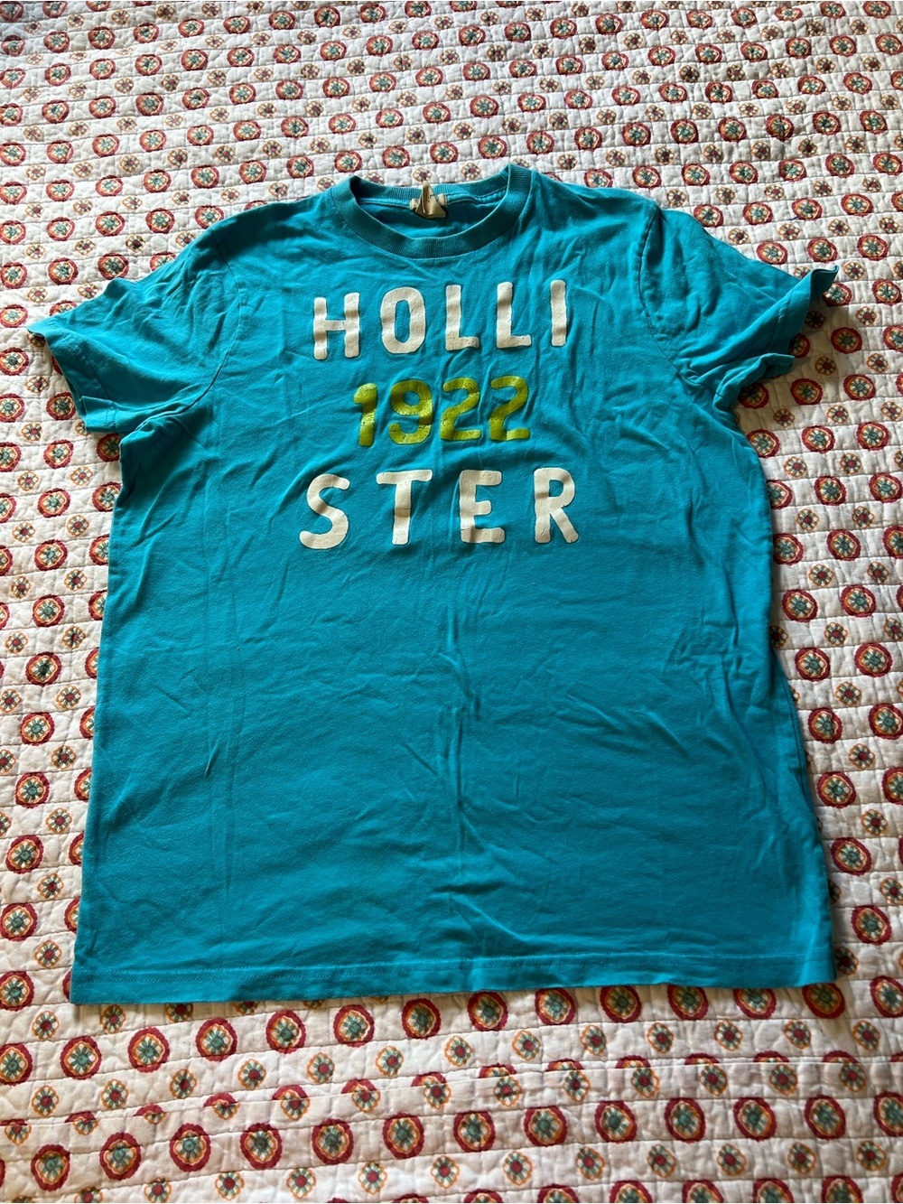 Y2K Hollister Bubble Letter Graphic T Shirt size Large